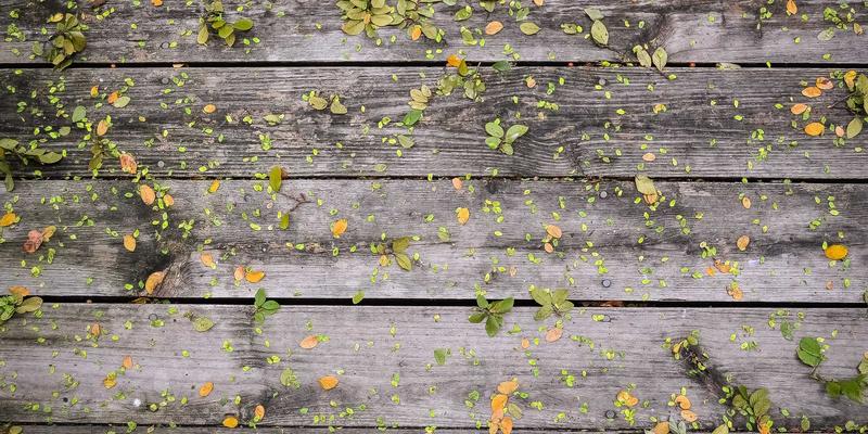 低浓度有机废气治理难题如何破解？金万泰环保详解活性炭吸附浓缩+催化燃烧系统优化设计