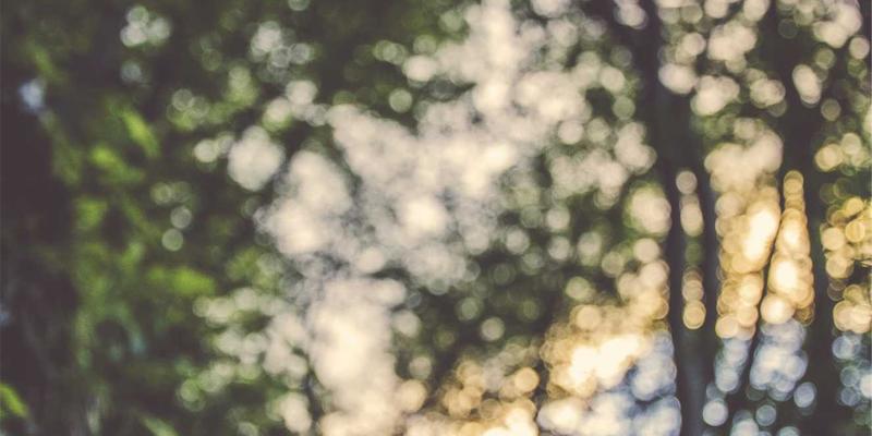 决胜半导体“生命线”:EDI与抛光混床超纯水技术路线深度解析与噪音废气治理实践