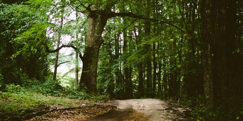 医疗废物高温蒸汽处理设备:核心技术对比与二次污染防控全解析