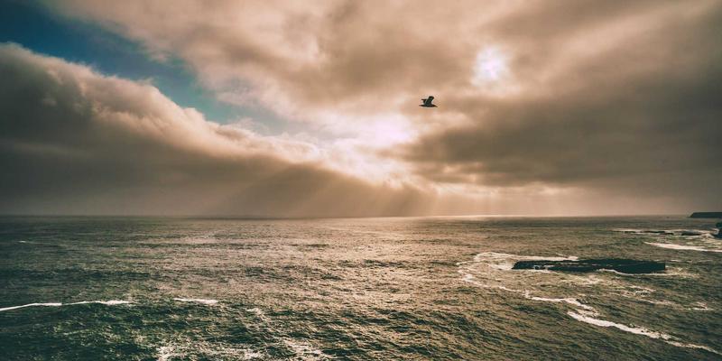 告别污水横流!金万泰环保揭秘农村分散式污水处理的长效运营之道